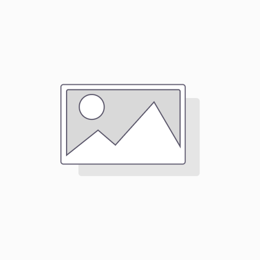 Payroll Technical Support